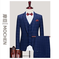 Синий жилет, штаны