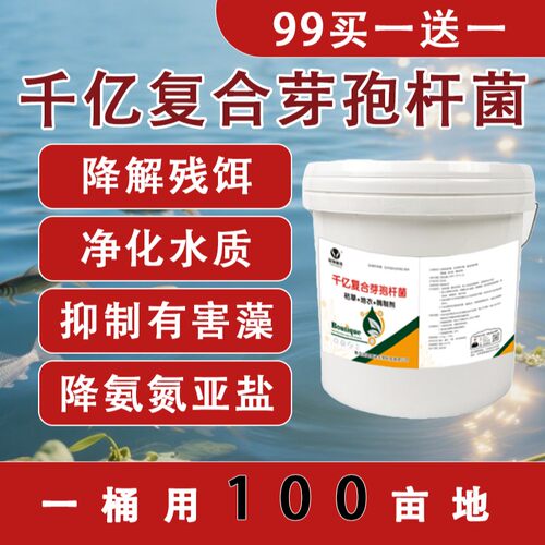 水产养殖益1000亿枯草芽孢杆菌调水净水除臭分解降氨氮亚盐