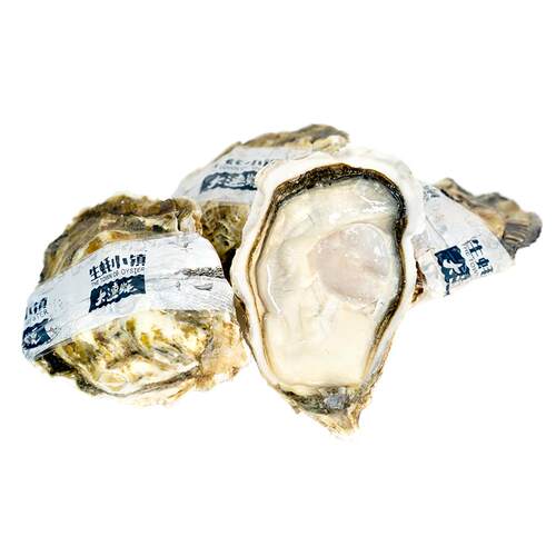 生蚝小镇生食刺身级大连生蚝鲜活海鲜牡蛎水产礼盒绿色食品5斤