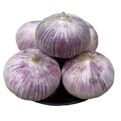 2026年新鲜紫皮独头蒜现挖湿蒜头