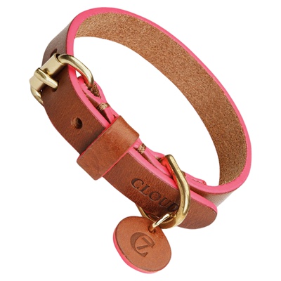 Cloud7王子公园宠物项圈进口现货