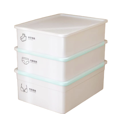 访客内衣收纳盒家用内裤袜子收纳格塑料衣柜抽屉文胸内衣裤整理盒