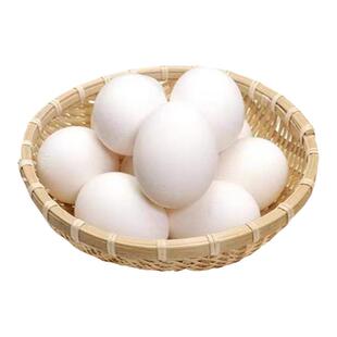 柯科尔可达鸭蛋小型好养受精蛋可人工孵化小黄鸭蛋鸭种蛋科尔宠物