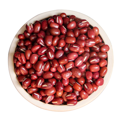 东北大红豆大粒红豆拍4份送1份