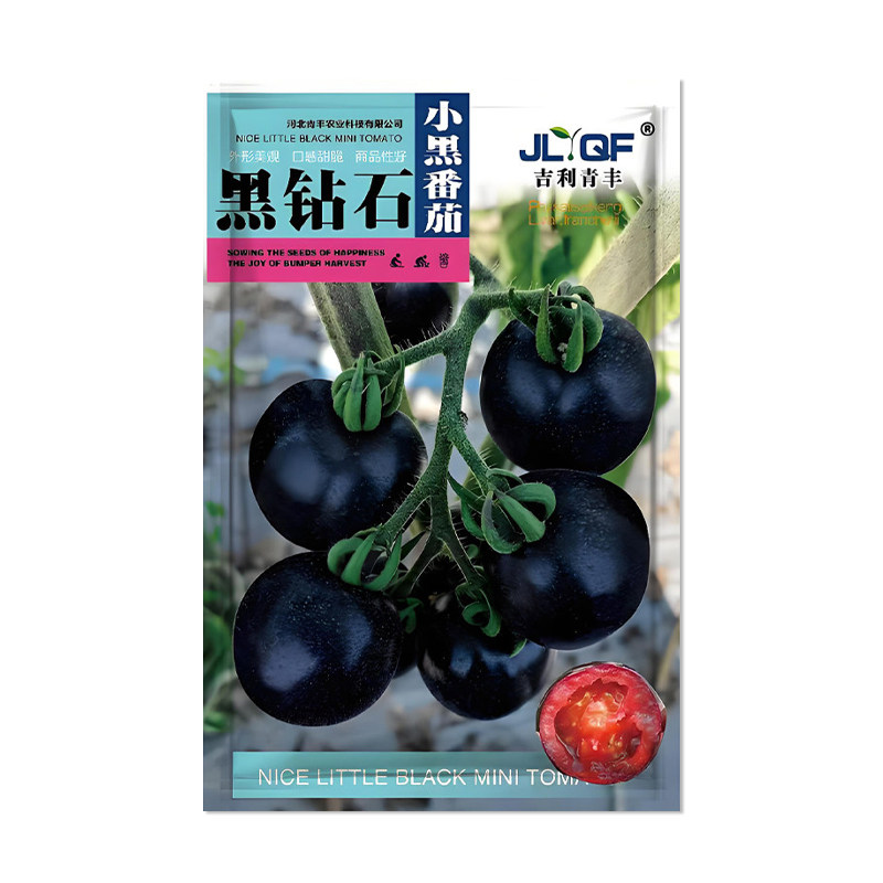 吉利青丰黑钻石小黑番茄种子