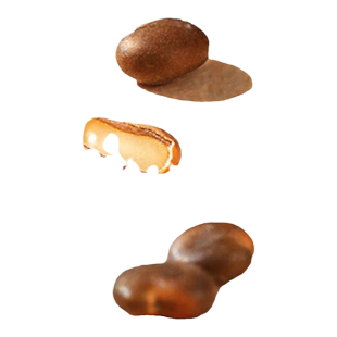 沙苑子的功效中药材泡水喝官方旗舰店茶包沙宛子菟丝子枸杞茶袋泡