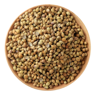蔬菜种子四季大全农家菜园青菜菠菜春季辣椒西瓜夏秋白菜萝卜籽孑