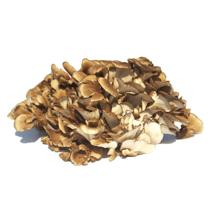 新鲜灰树花舞茸150g*3盒 食用菌灰树菇高山栗蘑菌菇 舞茸菌顺丰