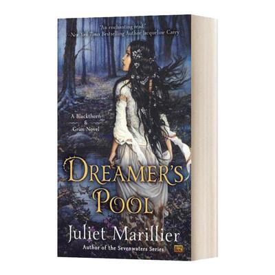 Dreamer's Pool 梦想家的泳池 英文原版