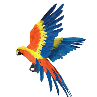 仿真金刚鹦鹉标本非活体羽毛摆件园林家居装饰仿真鸟工艺品新品