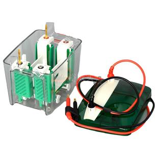 通用Bio-Rad/伯乐 Mini-ProteanTetra 小型垂直电泳槽 蛋白槽 含制胶系统 电泳槽电极芯 国产配件 310421