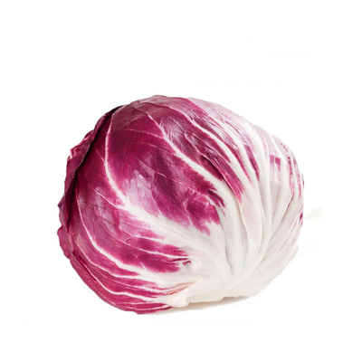 槿sung红菊苣500g沙拉食材