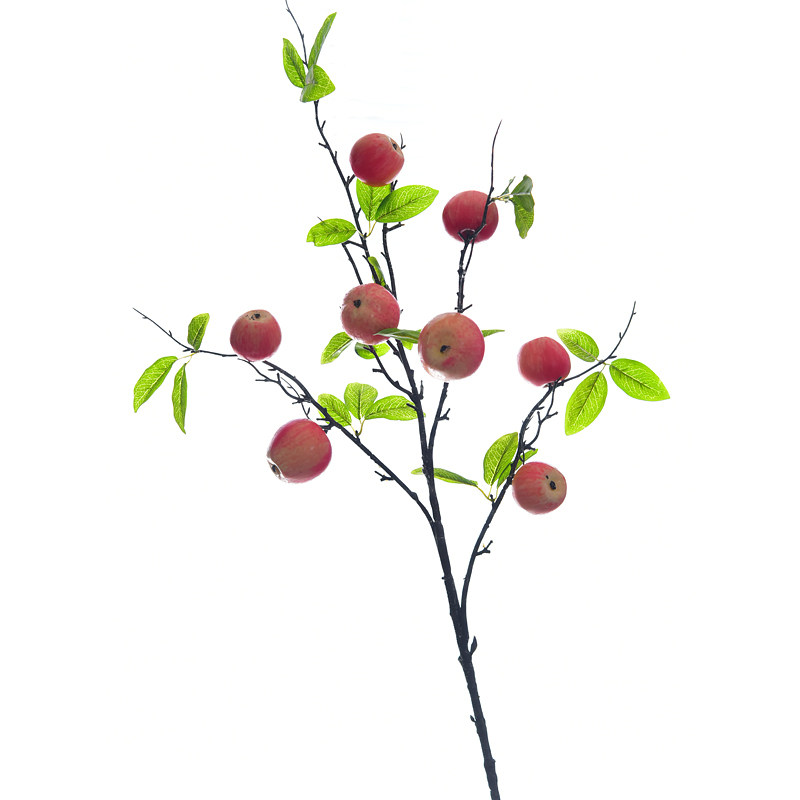 强推！平安果~平平安安红苹果枝