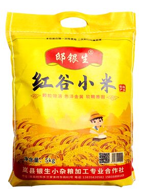 红谷小米山西岚县特产今年黄小米