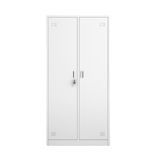 新款二门双门更衣柜员工柜铁皮职工两门柜带锁存包柜鞋柜多门柜子