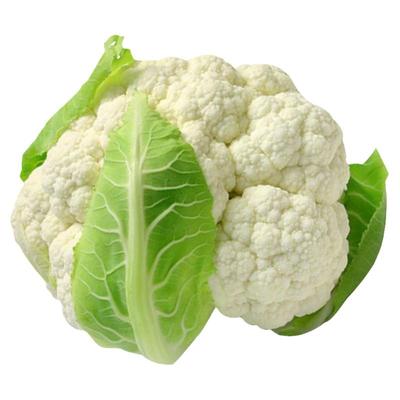 台湾青梗松花菜种子种籽秋后花菜菜花夏季秧苗孑秧四季蔬菜苗籽种