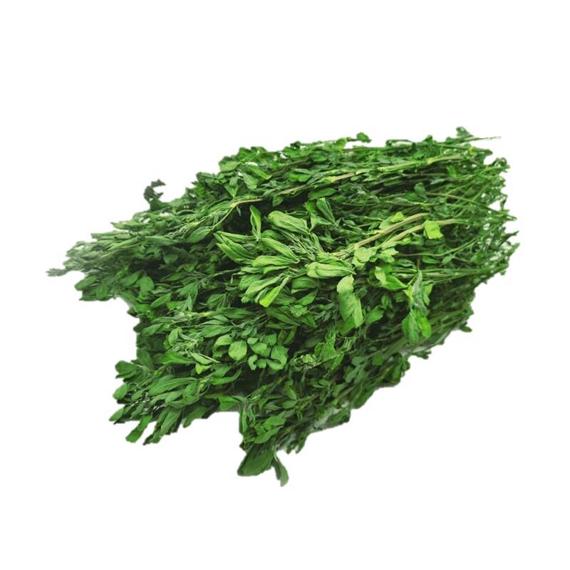 新草 烘干紫花苜蓿草 毛重1kg箱装兔子豚鼠龙猫牧草苜蓿干草