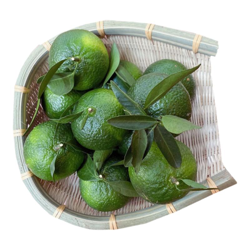 新会茶坑15年老树圈枝大青柑鲜果