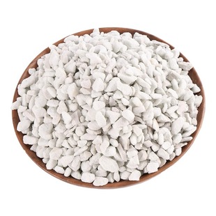 兰花专用珍珠岩大颗粒蝴蝶兰养花植料膨胀硬质营养土扦插土壤疏松