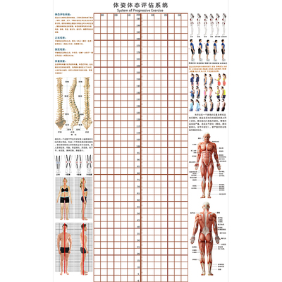 体态评估表挂式体测网格健身房瑜伽馆私教形体脊椎修复身体对比图
