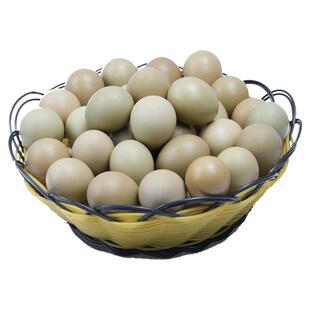 正宗七彩山鸡蛋新鲜 宝宝辅食 野金农家天然散养五彩土鸡蛋野鸡蛋