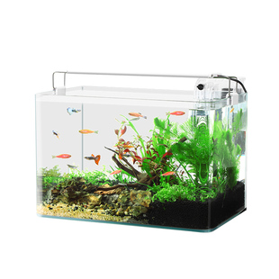 鱼缸造景全套热弯玻璃缸客厅小型桌面免换水生态草缸迷你金鱼缸