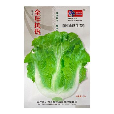 意大利生菜种子籽抗热耐抽薹四季