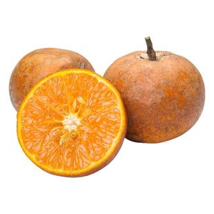 正宗广西黑皮乌柑花皮沃柑香甜当季新鲜乌柑橘水果乌橘子9斤现摘