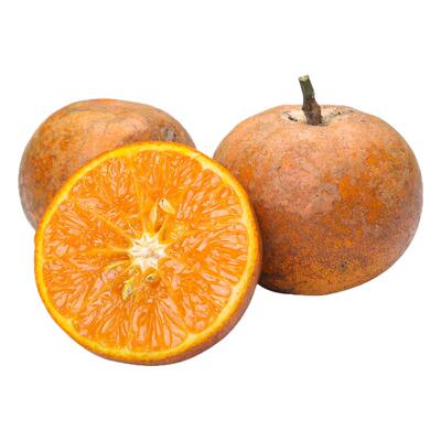 广西乌柑口感非常甜不甜包赔