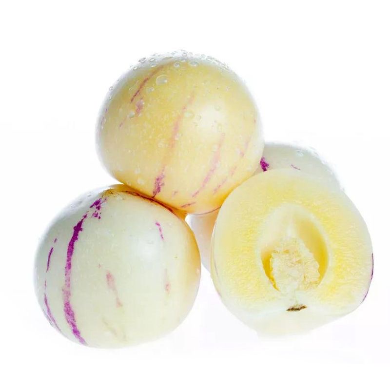 正宗人参果苗秧带土球四季春秋盆栽阳台人生果超甜南北方年结果