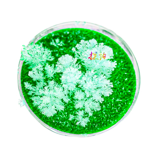 探询雪花丛结晶生长种植彩色趣味儿童科学实验套装物理化学生早教