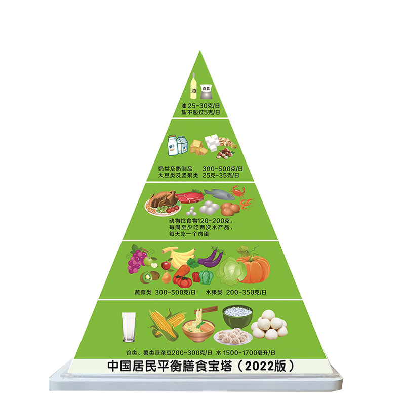 新版食物模型交换份糖尿病营养指导模型中国居民平衡膳食宝塔模型