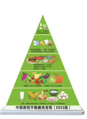 新版食物模型交换份平衡膳食宝塔