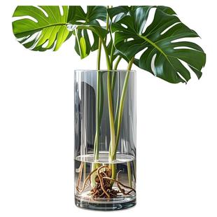 养大号龟背竹专用花瓶大口径高4030厘米宽口透明玻璃水培器皿花盆