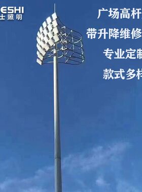 带爬梯升降10米20米30米广场小区球场体育馆码头户外照明灯高杆灯