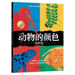 动物的颜色真鲜艳 平装儿童绘本 科学艺术认知系列想象力美育科普课3–6岁幼儿园孩子的阅读睡前故事书亲子共读北京少年儿童出版社