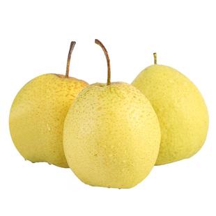 雪花梨赵县新鲜梨包邮雪梨水果新鲜当季梨子新鲜10雪梨整箱5斤9斤
