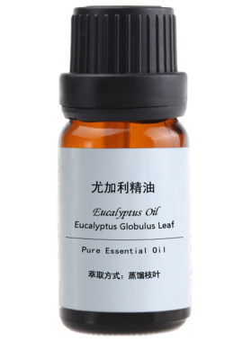 澳洲蓝胶桉树尤加利精油