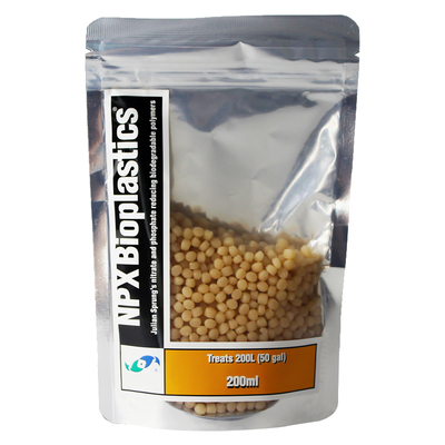 美国两只海水荷兰豆鱼缸np高效