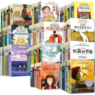 111册正版 长青藤国际大奖小说全套第1-18辑 作文里的奇案十岁那年十二岁的旅程想赢得男孩三四五六年级小学生课外书儿童文学故事