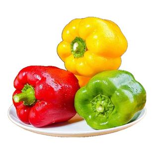 【五彩椒生吃】新鲜七彩椒甜椒圆椒太空椒柿子椒灯笼椒农家蔬菜
