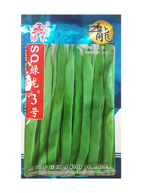 肉厚无筋四季架豆扁豆种子