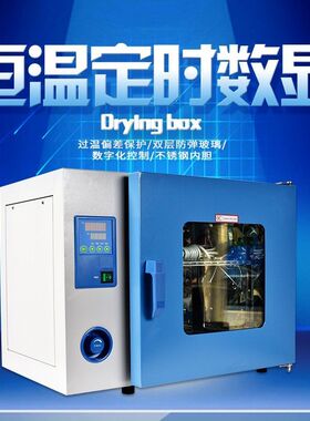 上海一恒DHG系列鼓风干燥箱  实验室工业烘箱 电热恒温鼓风干燥箱