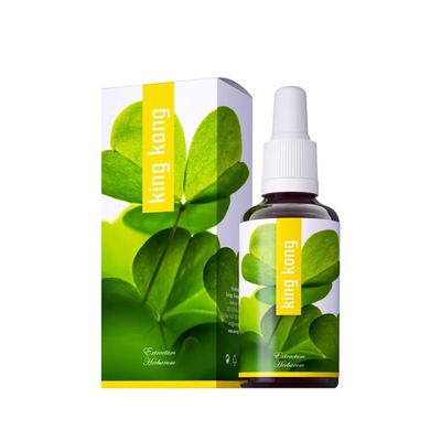 捷克金刚能源精力充沛排湿气