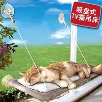Кот всасывающий гамак