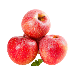 陕西老品种秦冠粉面沙甜苹果新鲜当季老人宝宝刮泥9斤装萍果整箱