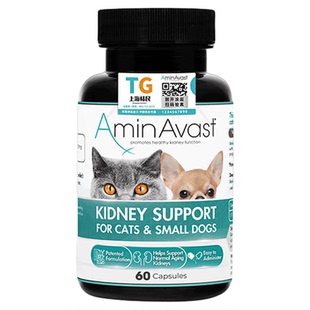 AminAvast胺肾猫宠物慢性肾衰肾损伤狗狗降磷透磷肌补充剂
