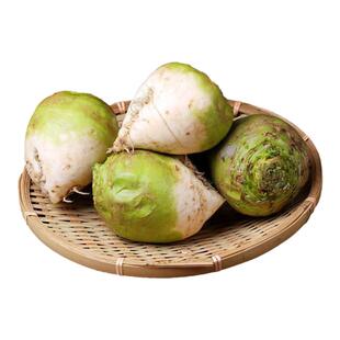 新鲜芥菜疙瘩辣菜疙瘩大头菜咸菜下饭生芥菜丝辣菜产地直发新鲜