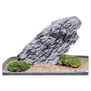 青龙石造景石鱼缸假山石大块石头天然原石布景石盆景装饰成品山峰