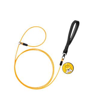 狗狗牵引绳防爆冲p绳防咬断防窒息p链大型犬中小型犬狗绳遛狗链子